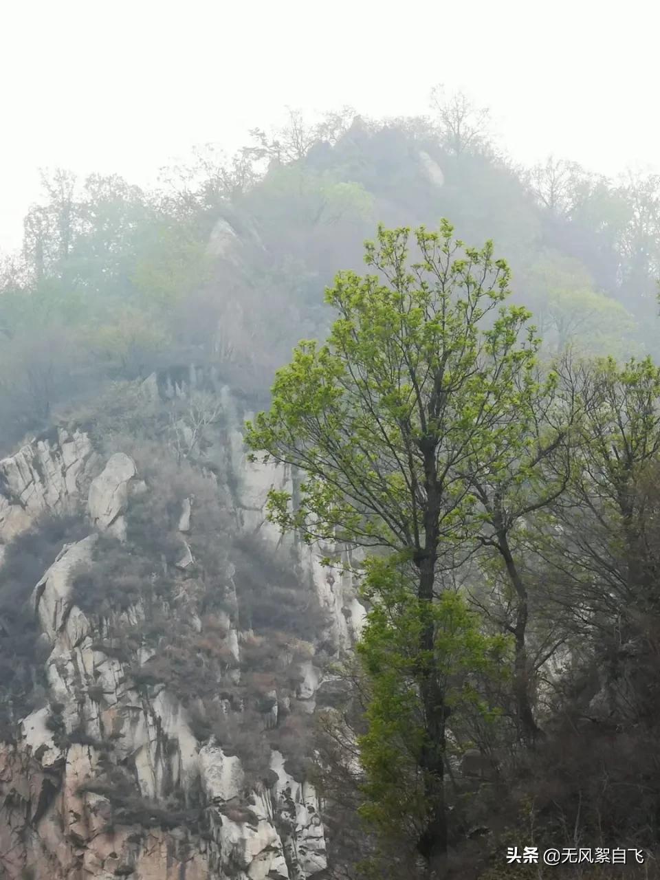 弯弯的小河，青青的山岗，蓝蓝的天空，阵阵的花香，依偎着小村庄(图10)