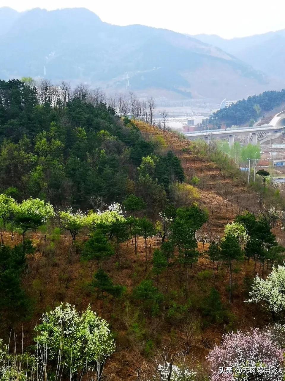 弯弯的小河，青青的山岗，蓝蓝的天空，阵阵的花香，依偎着小村庄(图11)