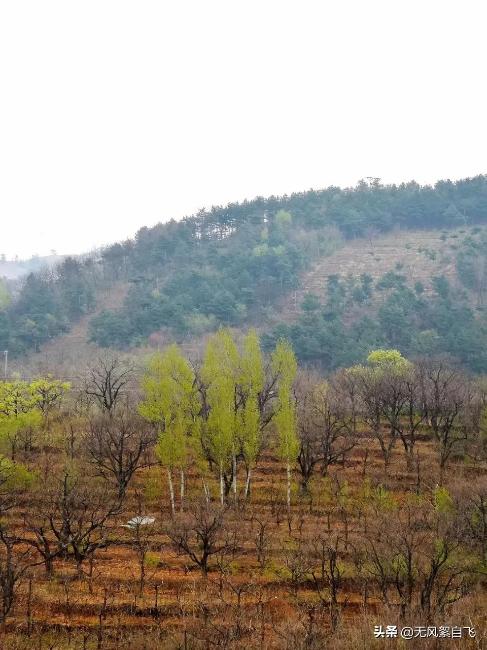 弯弯的小河，青青的山岗，蓝蓝的天空，阵阵的花香，依偎着小村庄(图14)