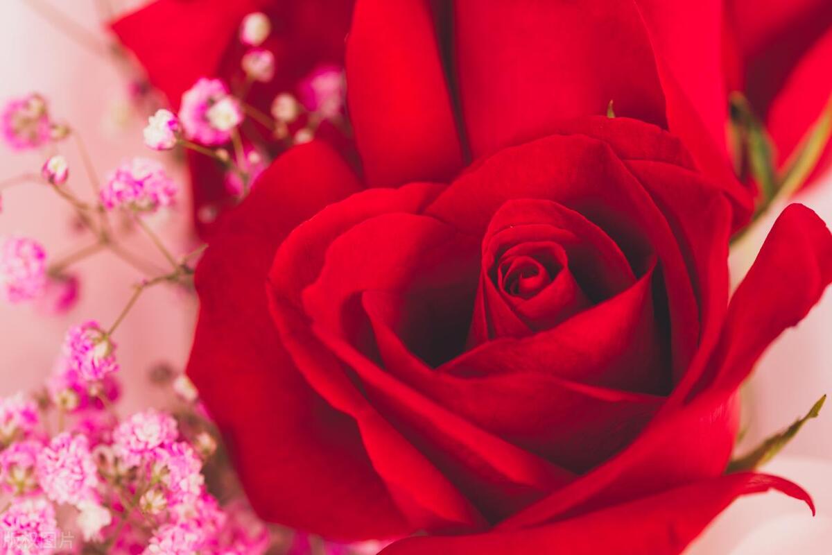 倾听你美妙的声音，这才是我最大的幸福(图2)