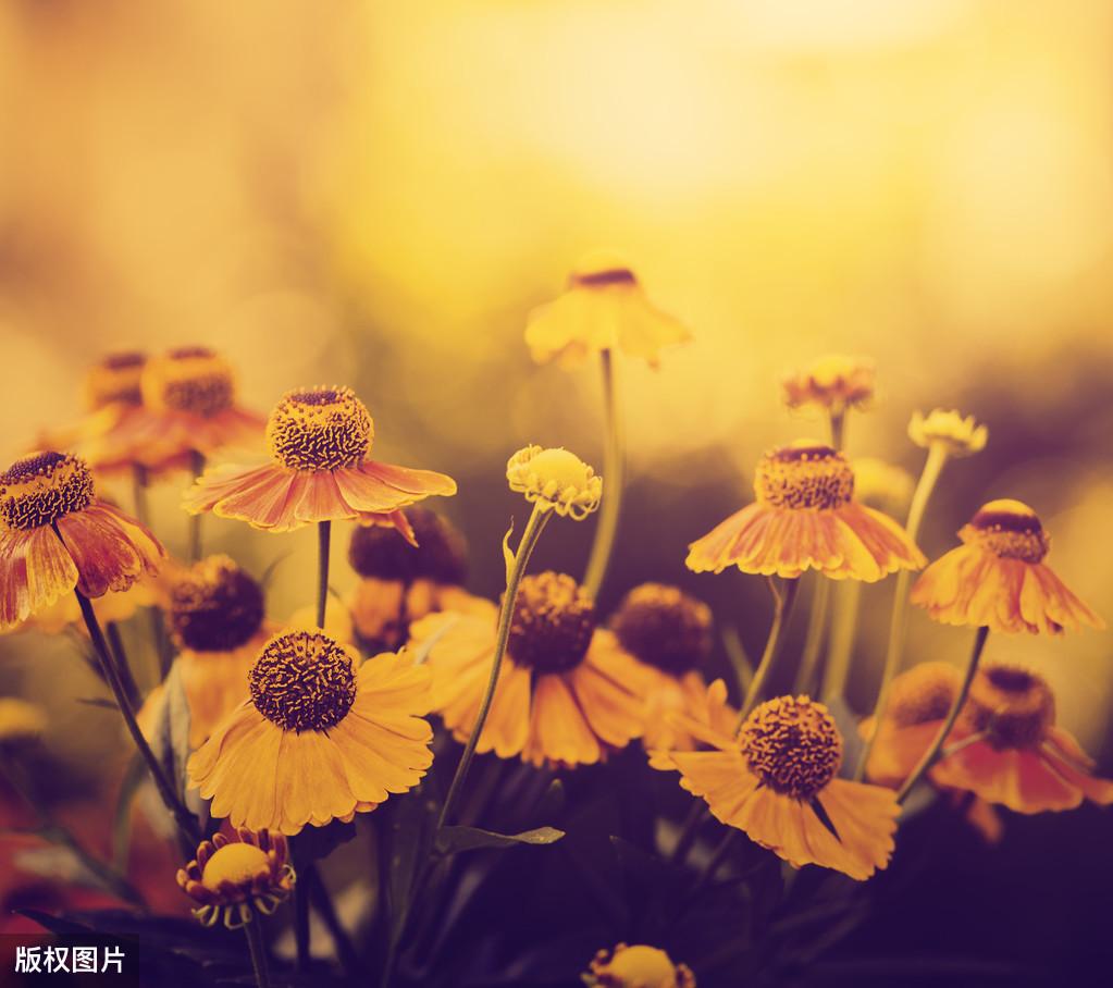 正能量满满的励志句子：星光不问赶路人，时光不负有心人(图5)