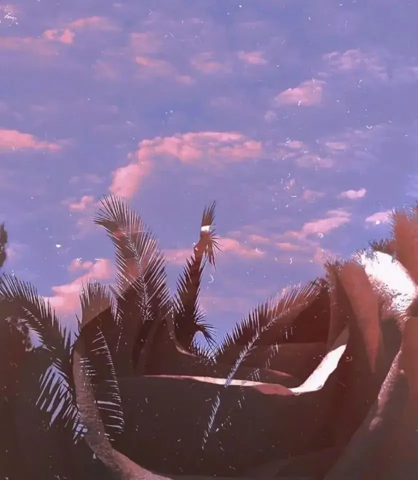 正能量满满的励志句子：星光不问赶路人，时光不负有心人(图11)