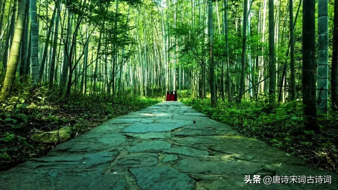 十句经典古文，字字珠玑，影响国人千年(图6)