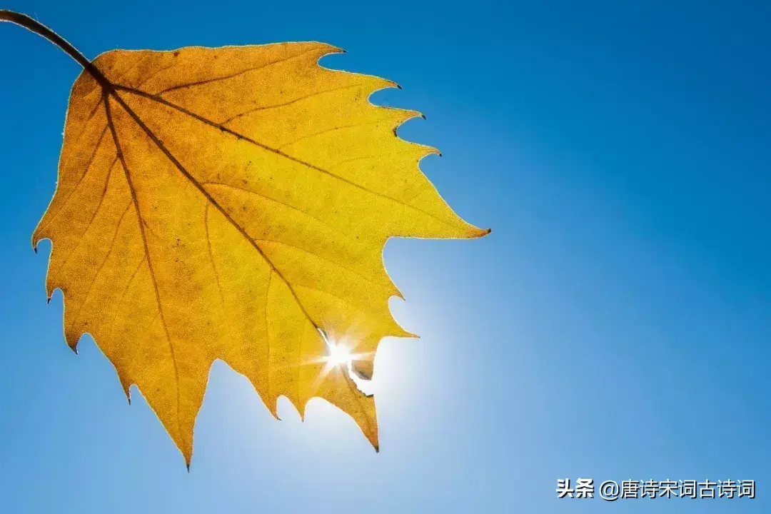 十句经典古文，字字珠玑，影响国人千年(图7)