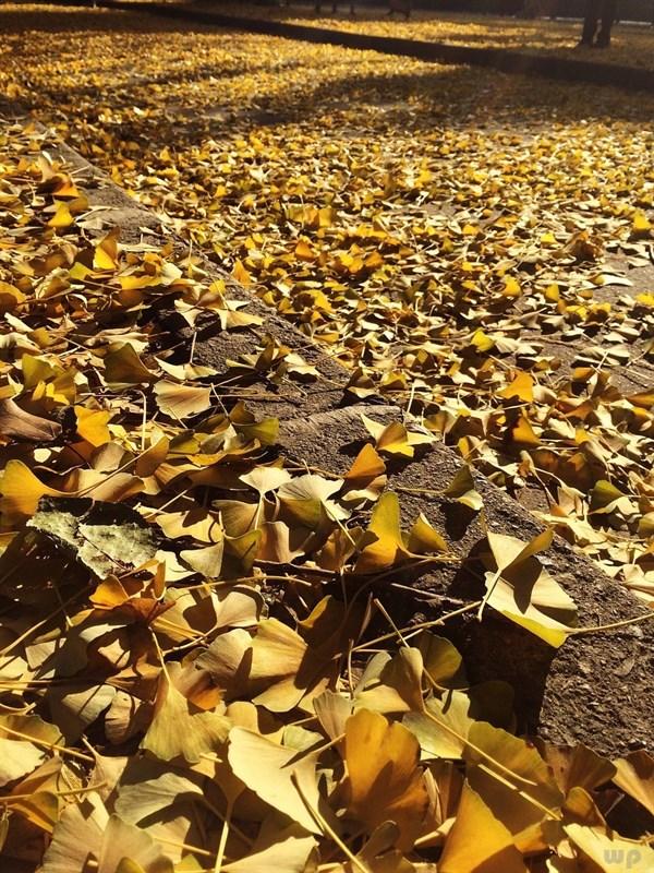 关于青春心情的唯美文艺句子，简短励志，发朋友圈很不错(图3)