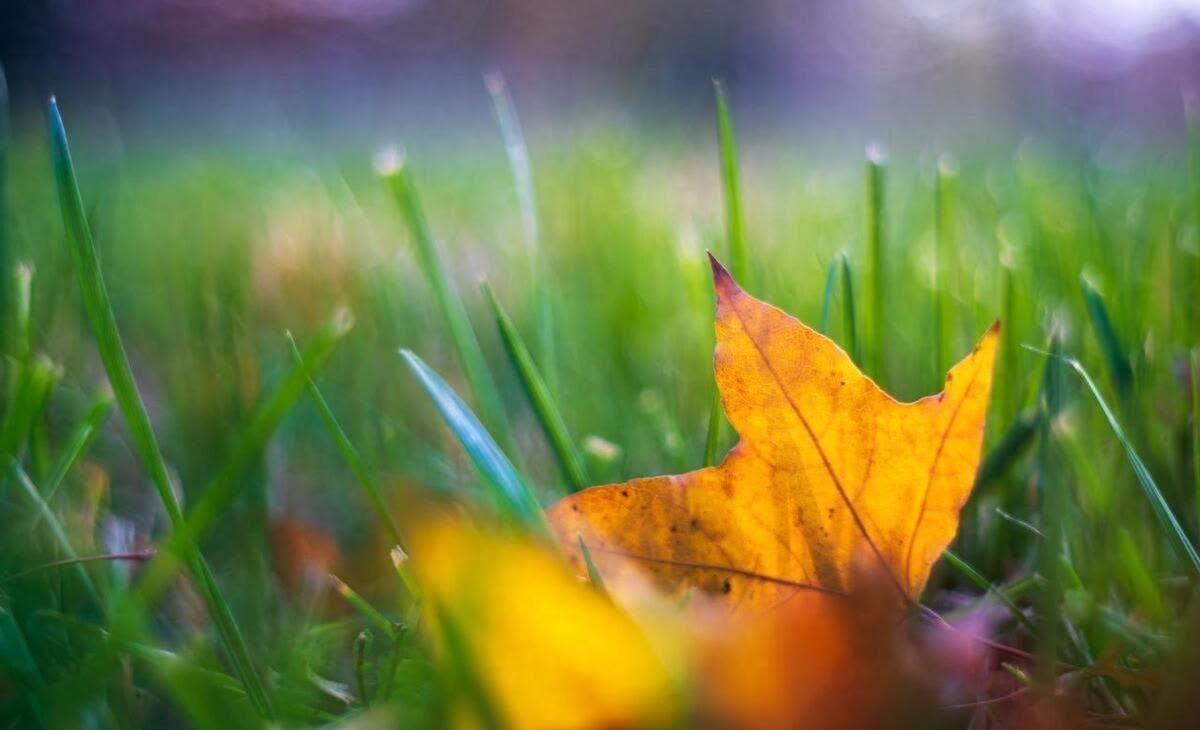 慰藉心灵的温柔句子,催人自省,积极向上(图4)