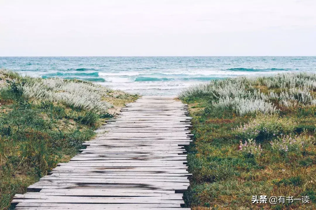 冰心笔下很干净的12句话，读懂受用一生(图5)