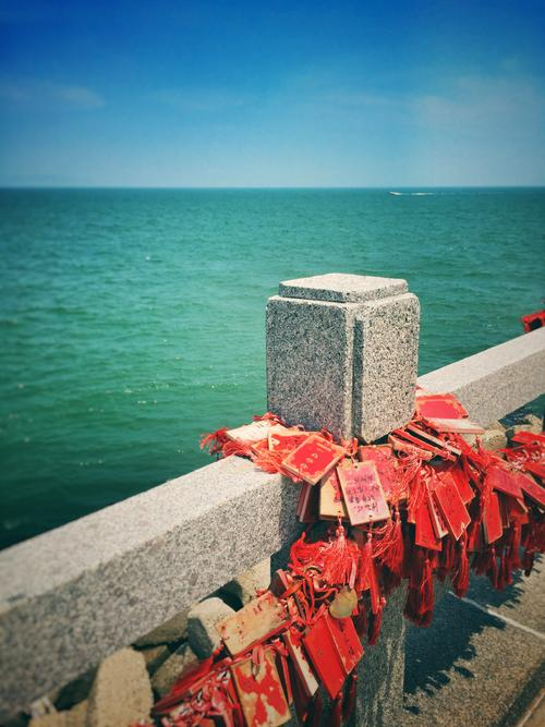 《人生海海》15句经典，让你看清生活的本质后，依然热爱它(图3)