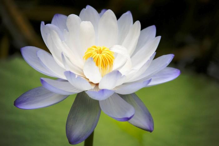 送给知心朋友的感悟短语，句句入心，提升正能量(图1)