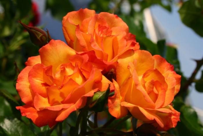 送给知心朋友的感悟短语，句句入心，提升正能量(图2)