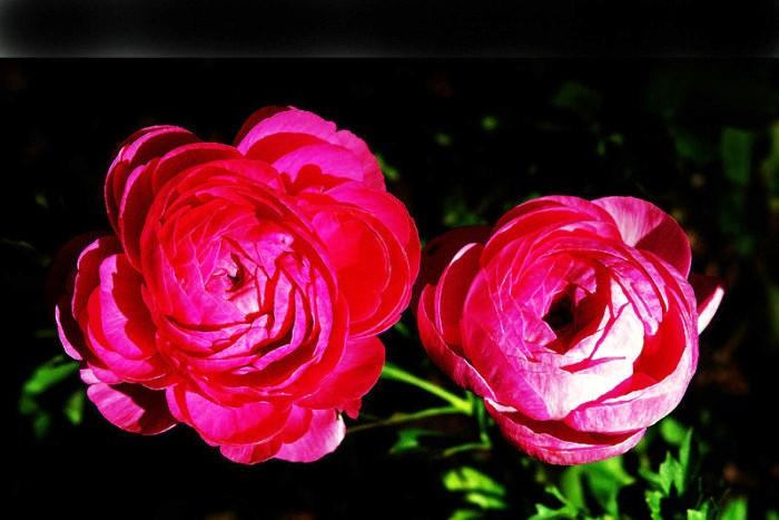 送给知心朋友的感悟短语，句句入心，提升正能量(图4)