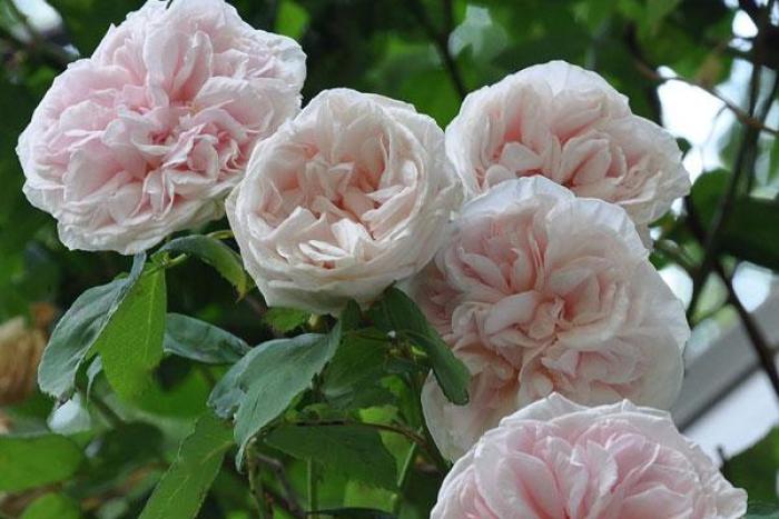 送给知心朋友的感悟短语，句句入心，提升正能量(图5)