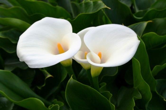 送给知心朋友的感悟短语，句句入心，提升正能量(图6)