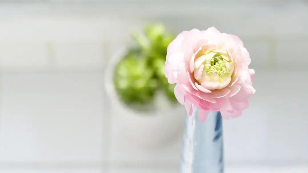 自己乔迁的唯美句子，倾诉对未来的期许和憧憬(图6)