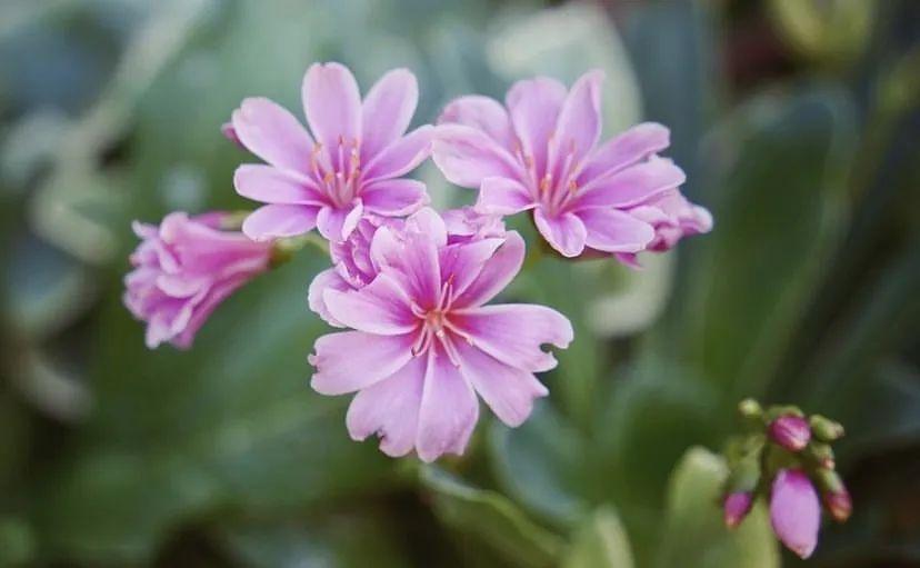 杨绛：以前对你的喜欢，是想见你，想看你，想陪你。现在对你的是(图5)