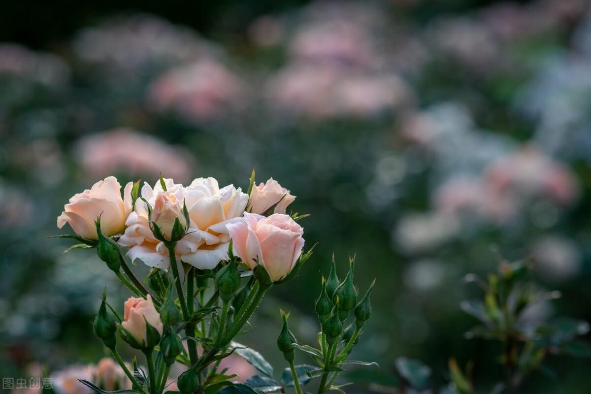 有一份爱，始于初见，止于终老，有一份情，相思永恒，永不相负(图3)