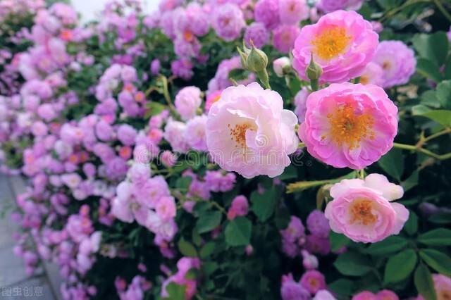 有一份爱，始于初见，止于终老，有一份情，相思永恒，永不相负(图5)