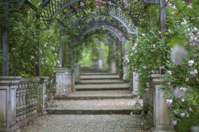 我还是很喜欢你，不管日月交替、四季更迭，终将永无止境(图3)