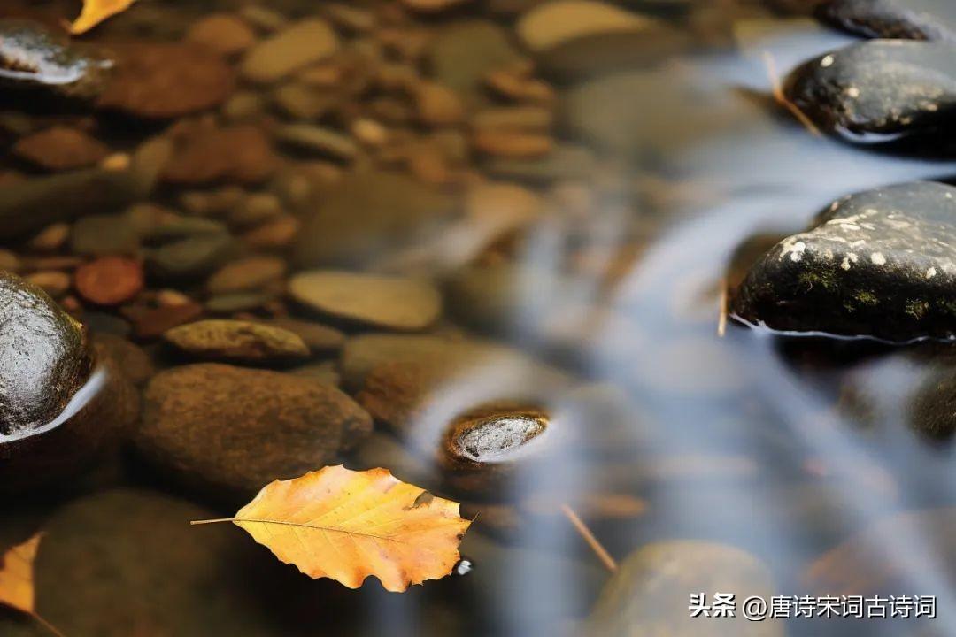 秋上心头，相思已浓(图2)