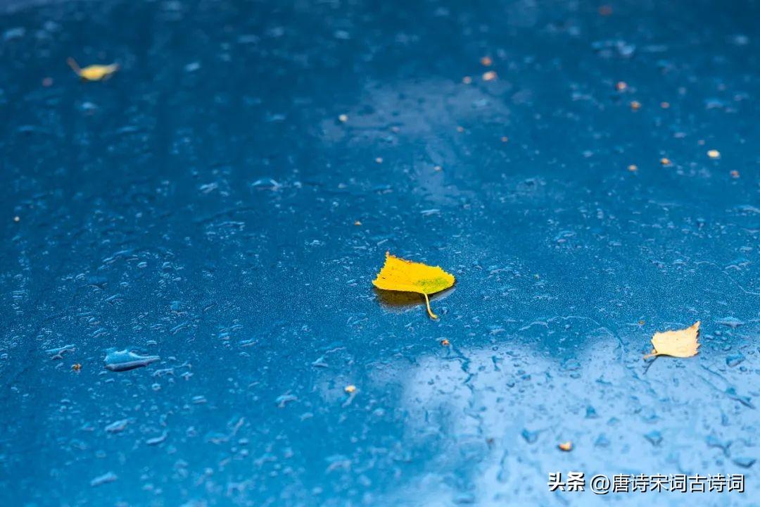 秋上心头，相思已浓(图6)