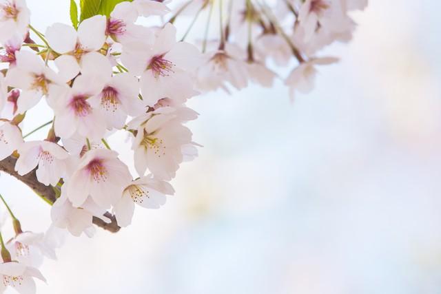 早上醒来别忘了做这10种激励自己方法(图3)