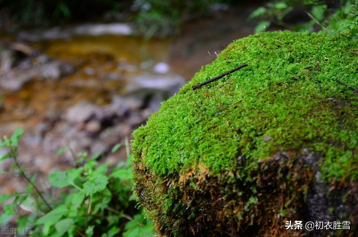 早秋烟雨古诗六首赏读：袅袅秋风动，凄凄烟雨繁(图5)