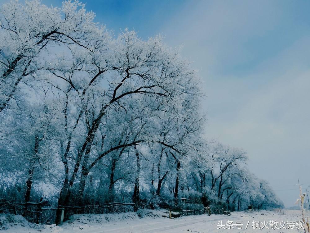 「枫火原创」上联:秋风瑟瑟梧桐雨,你看这样对下联怎么样?(图2) 「枫火原创」上联:秋风瑟瑟梧桐雨,你看这样对下联怎么样?(图2)