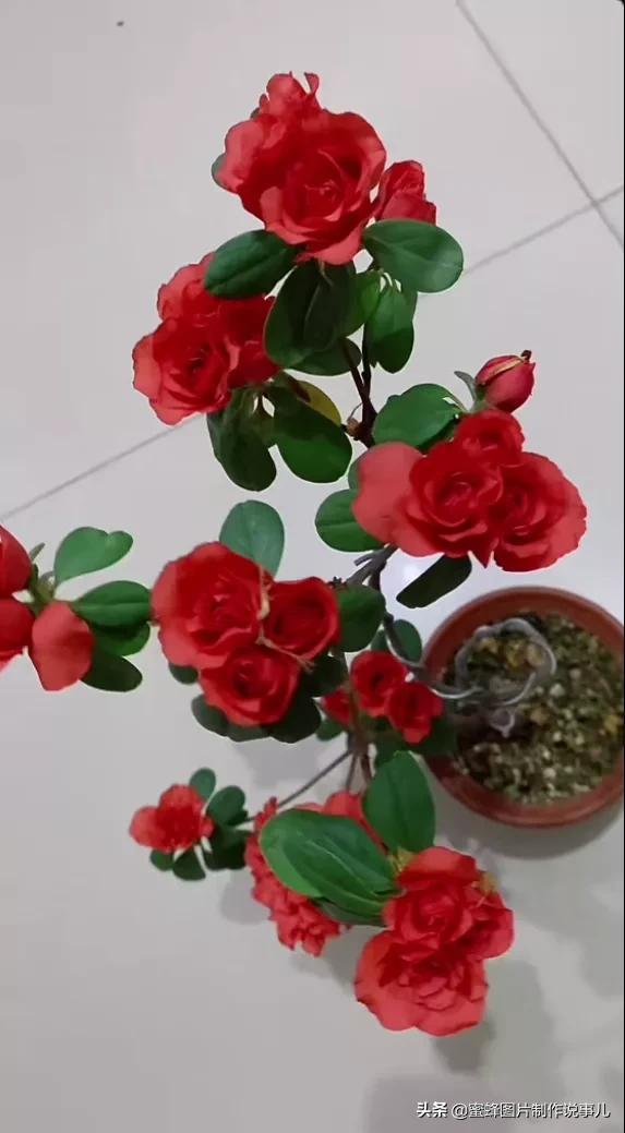 百花争放暗香溢，留连忘返戏蜂蝶(图28)