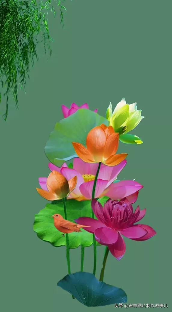 百花争放暗香溢，留连忘返戏蜂蝶(图31)