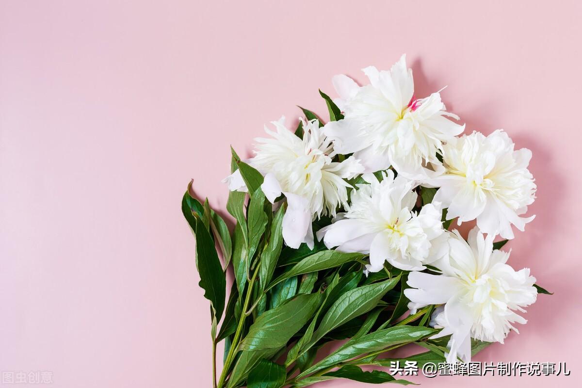 百花争放暗香溢，留连忘返戏蜂蝶(图41)