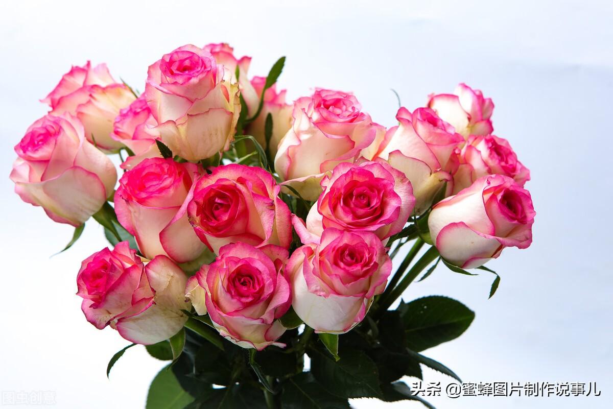 百花争放暗香溢，留连忘返戏蜂蝶(图45)