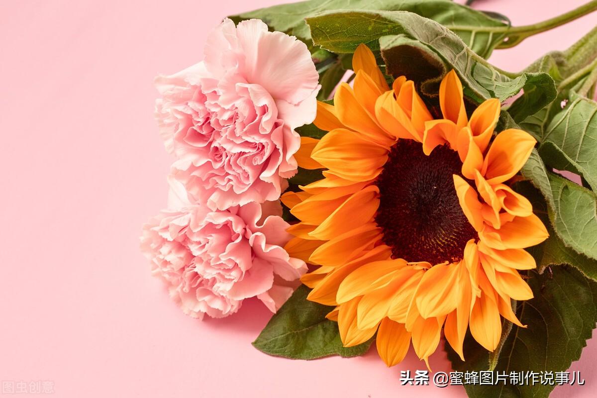 百花争放暗香溢，留连忘返戏蜂蝶(图49)