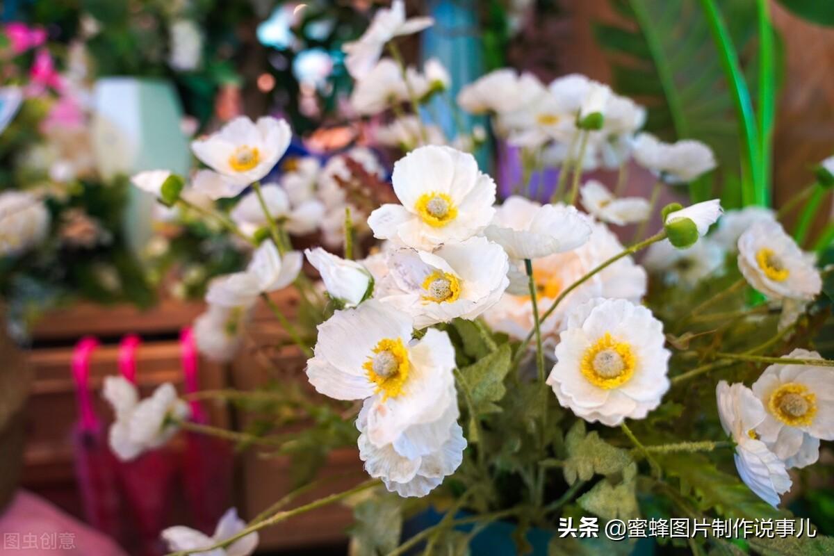 百花争放暗香溢，留连忘返戏蜂蝶(图51)