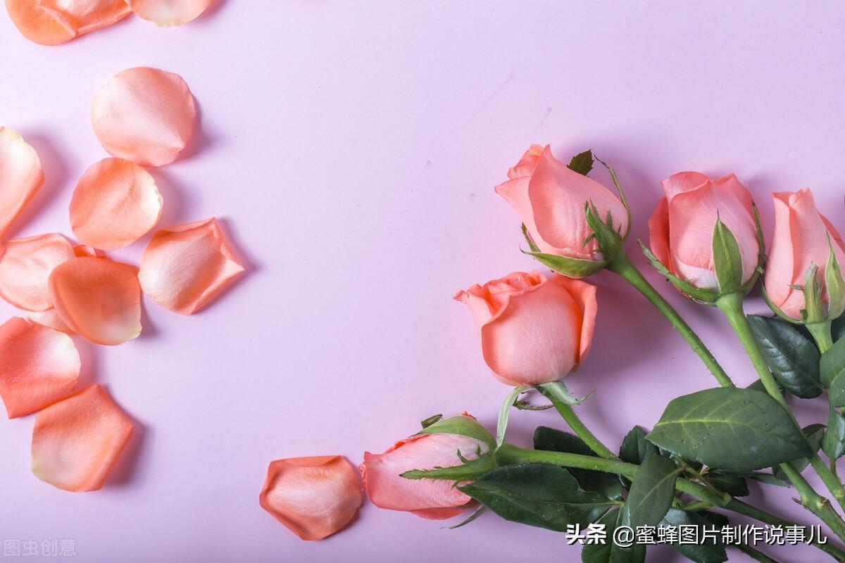 百花争放暗香溢，留连忘返戏蜂蝶(图54)