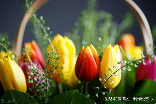 百花争放暗香溢，留连忘返戏蜂蝶(图75)