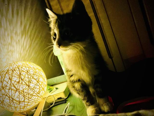 爱而不得的伤感句子 不能在一起心酸的句子(图1)