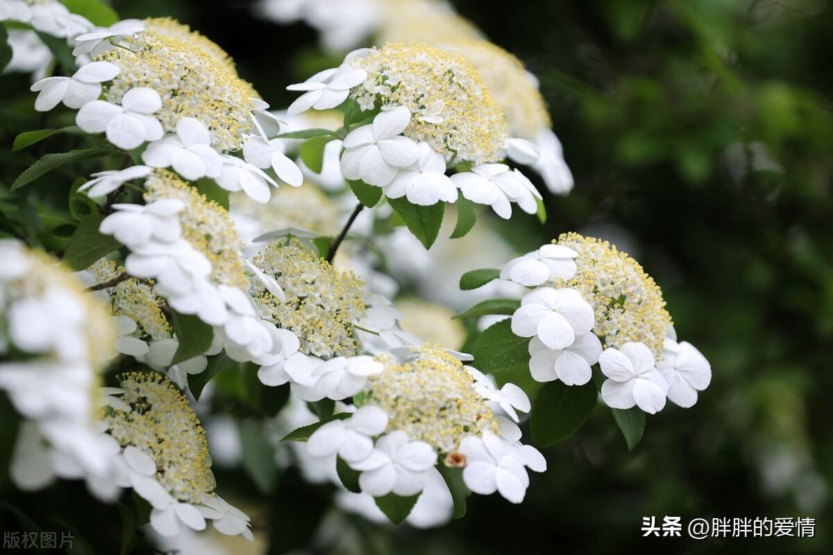 生，容易；活，容易；生活，真的很不容易；把心放宽，一切随缘(图1)