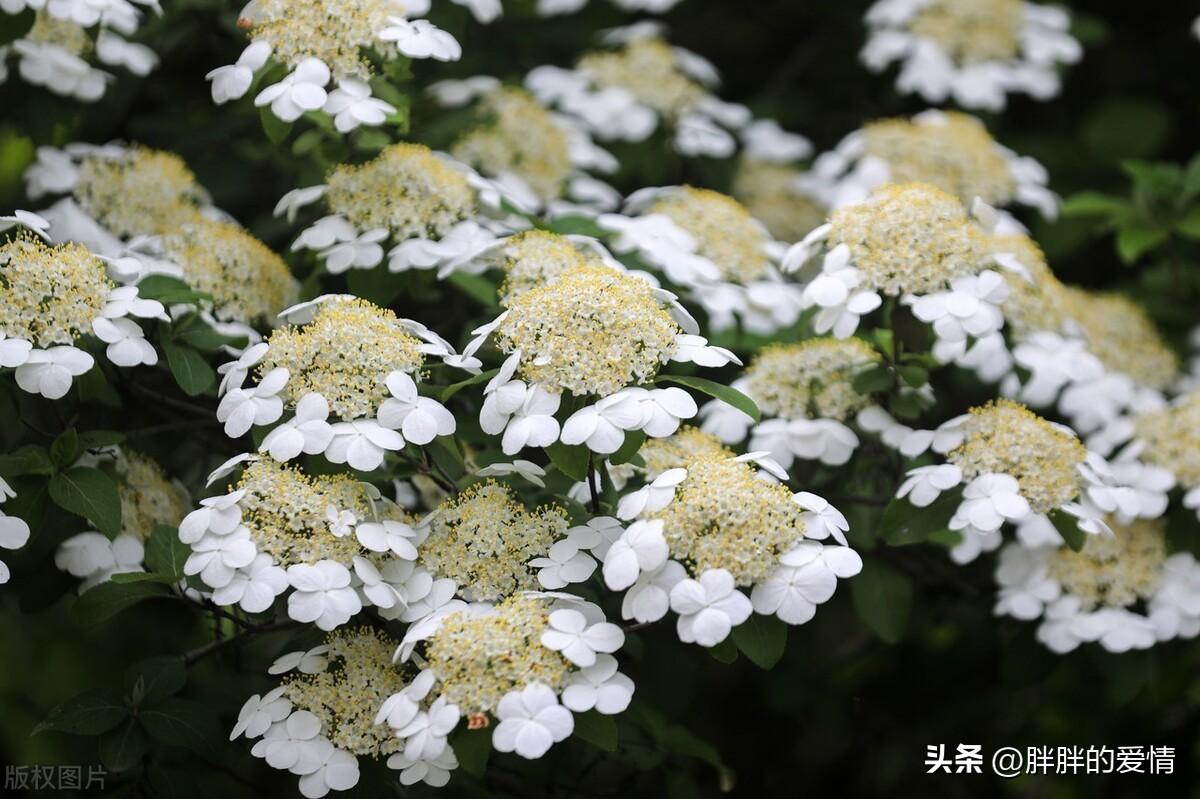 生，容易；活，容易；生活，真的很不容易；把心放宽，一切随缘(图3)