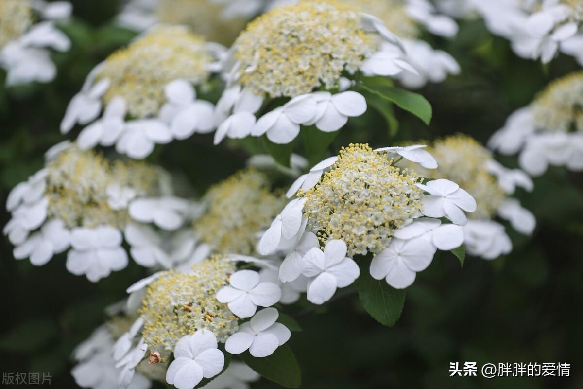 生，容易；活，容易；生活，真的很不容易；把心放宽，一切随缘(图4)