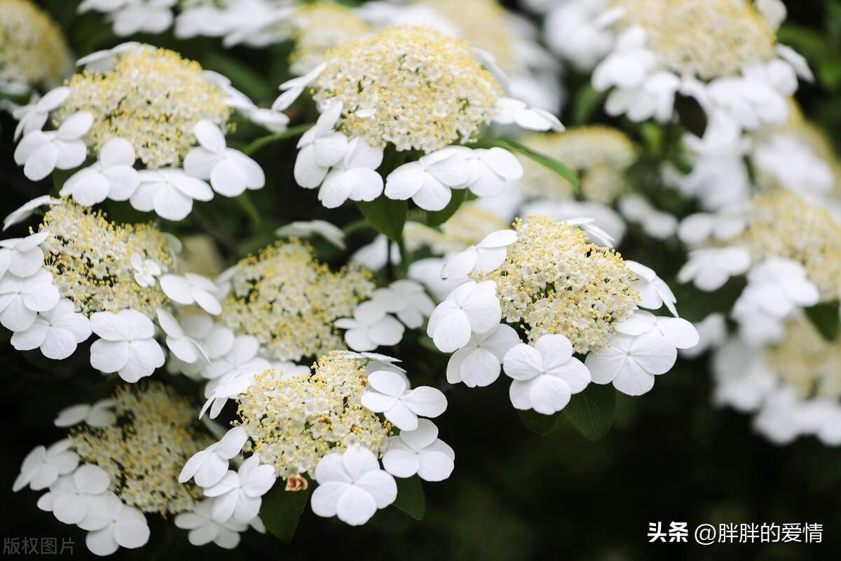 生，容易；活，容易；生活，真的很不容易；把心放宽，一切随缘(图5)