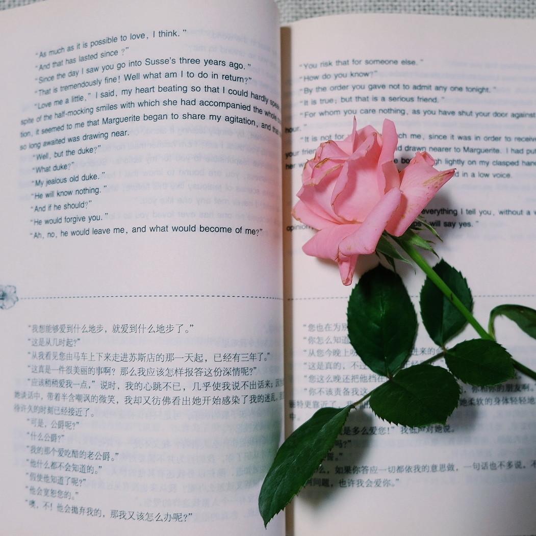 撕心裂肺的句子：绝口不提爱你，不是不爱，而是很爱，却不能再爱(图6)