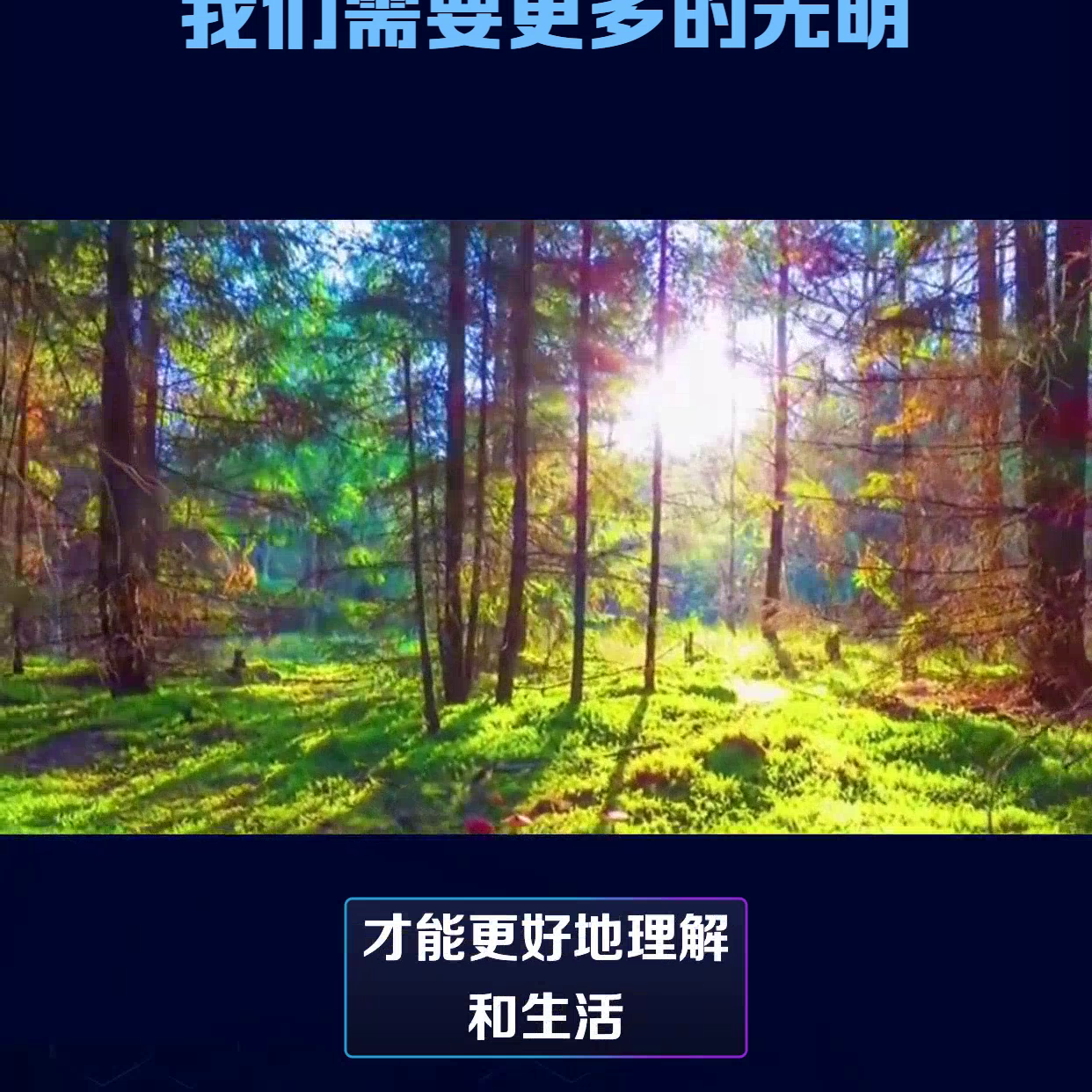 我们需要更多的光明，而不是争吵的声音 #名言警句(图2)