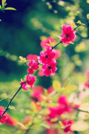 善不可失，从善名人名句，愿我们都做一个善良的人(图4)