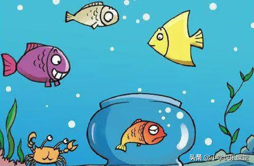 小学生低年级看图写话范文：放生动物（3篇）(图1)