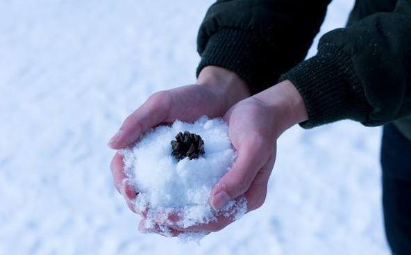 「新诗采撷」冯烨｜掌心化雪(图3)