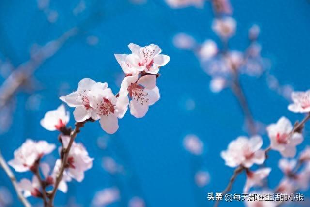 令人成长的30句话，渡人也渡己(图1)