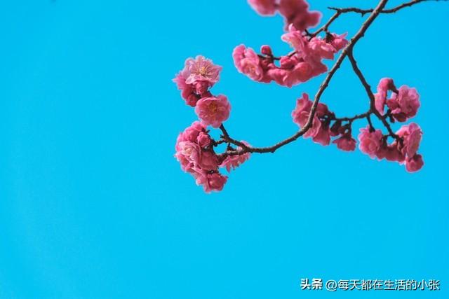 令人成长的30句话，渡人也渡己(图2)