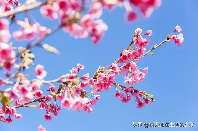 令人成长的30句话，渡人也渡己(图3)