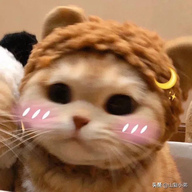 闺蜜 | 写给闺蜜的情话(图4)