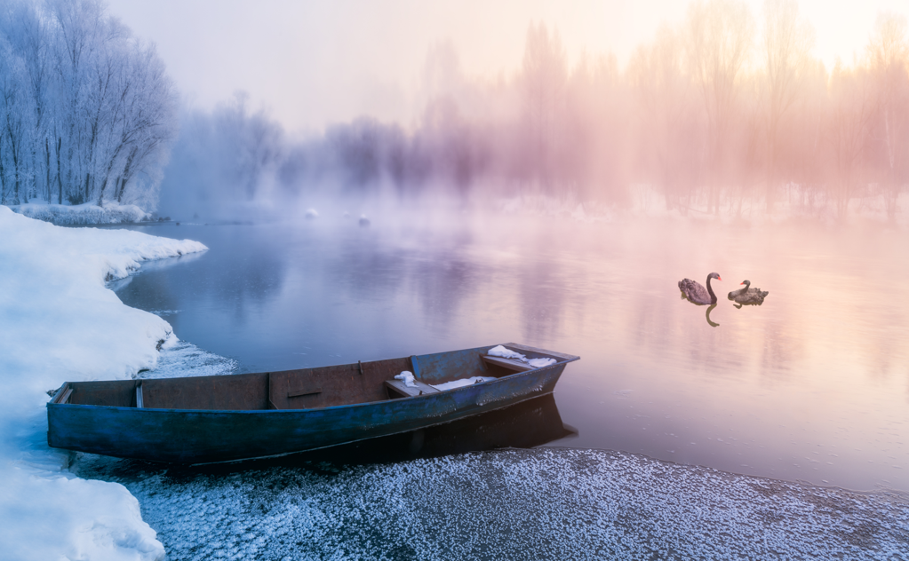 世界顶级哲学家对生命的42个经典诠释，每一句都超启智！(图1)